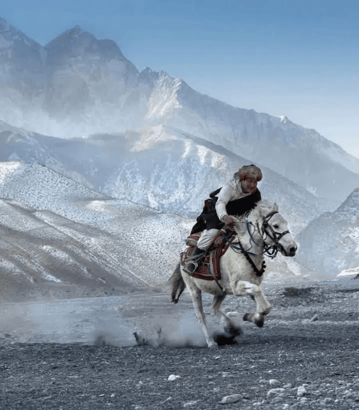 Rider on a white horse across a mountain plain